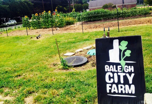 a view of a building with backyard