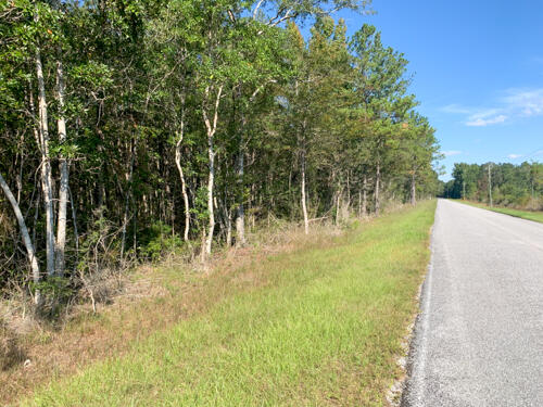 39-ac Vernal River Road Lucedale, MS 39452 - Photo 1 of 7 39.86 AC