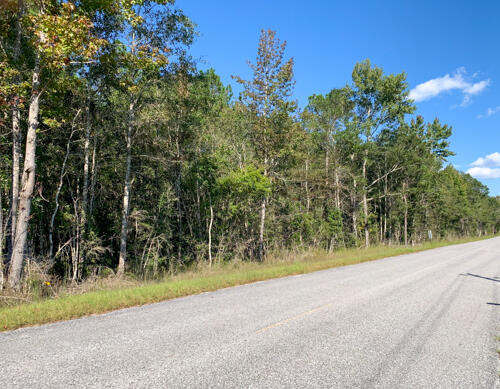 39-ac Vernal River Road Lucedale, MS 39452 - Photo 6 of 7 IMG_8488
