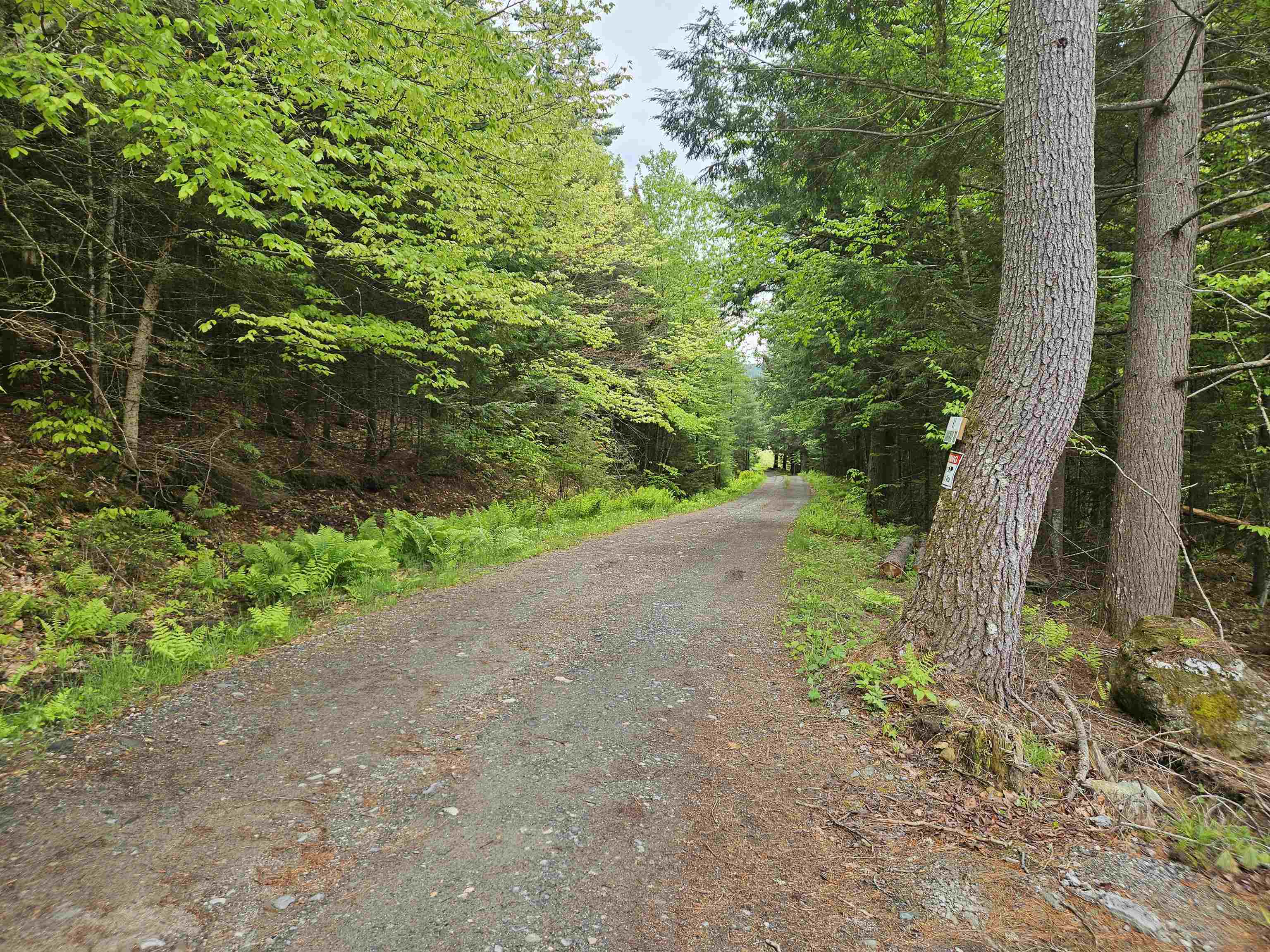 95 Langway Road Lyman, NH 03585 - Photo 5 of 12