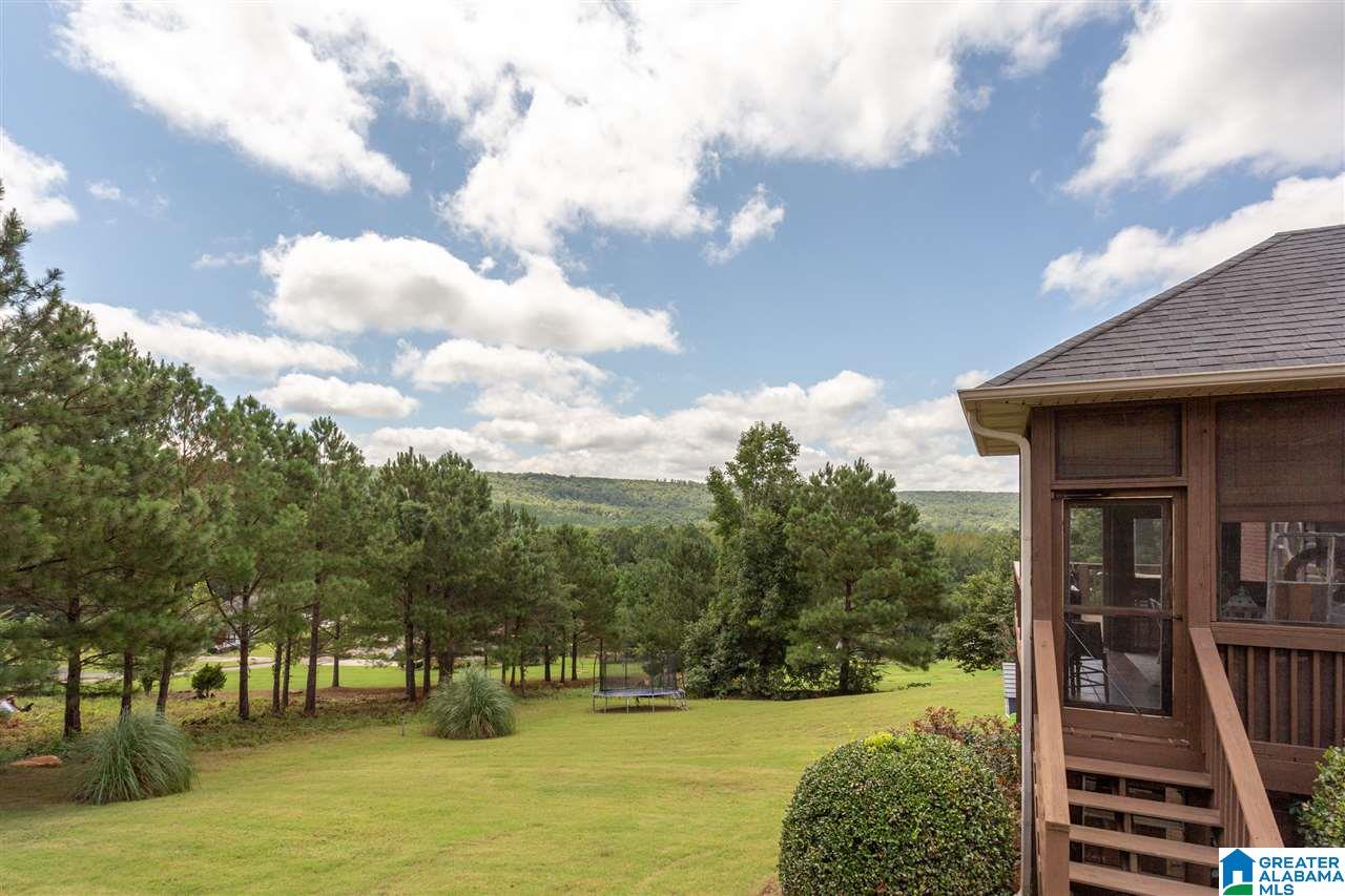 303 Valley View Lane Oneonta, AL 35121 - Photo 48 of 48