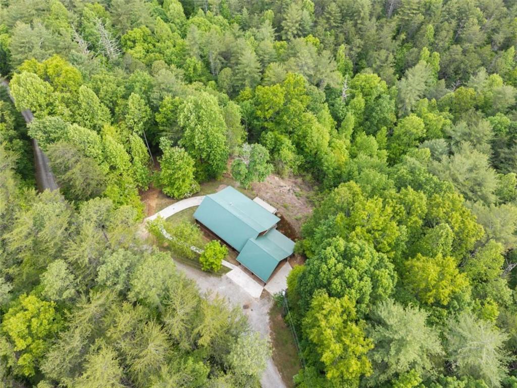 707 South Fern Cove Road Sautee Nacoochee, GA 30571 - Photo 46 of 60 an aerial view of a house with a yard