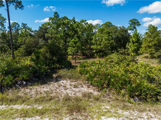 $35,000 | 1615 Calvin Avenue, Lehigh Acres, FL 33972