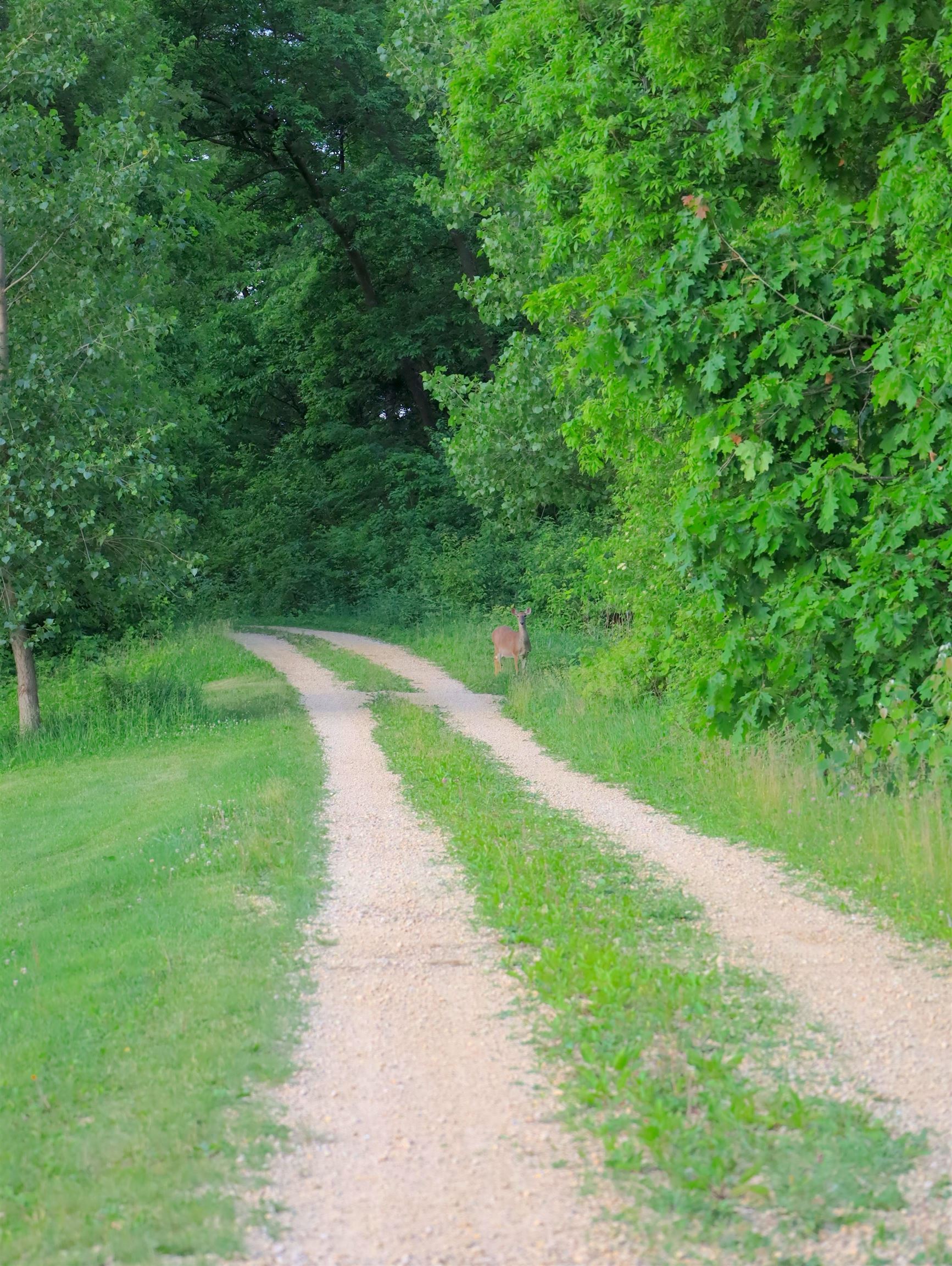 9496 South Hanover Hill Road Hanover, IL 61041 - Photo 95 of 97