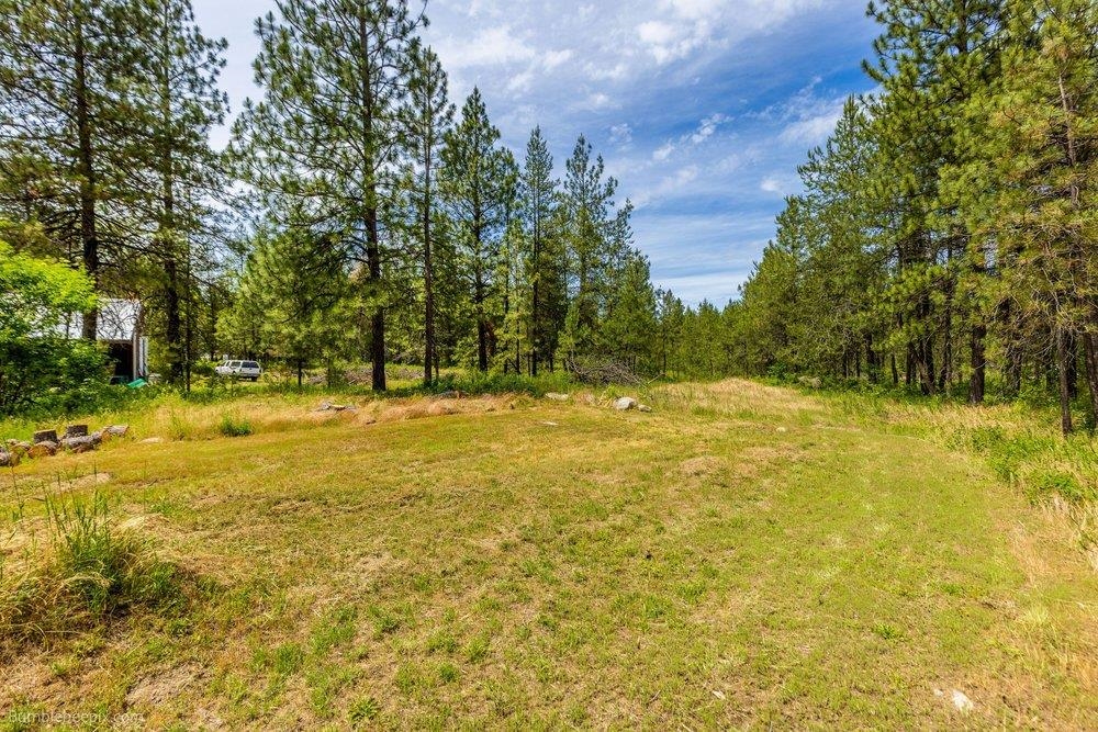 36714 Northwest Branch Road Chattaroy, WA 99003 - Photo 26 of 30