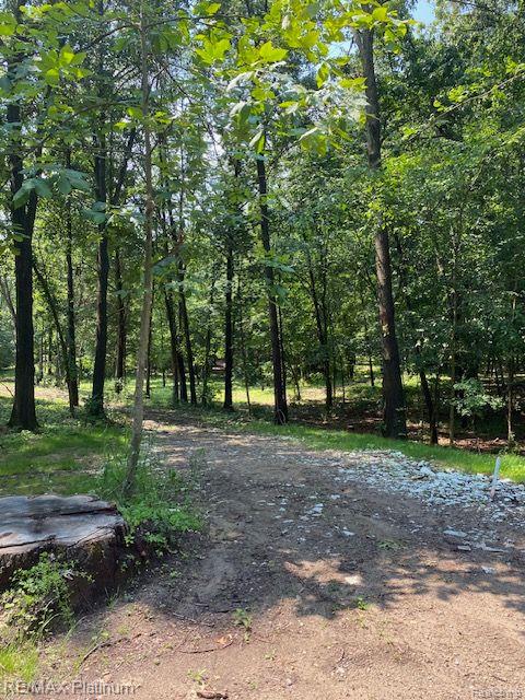 7 Sleaford-parcel 7 - 2 Acres Road Howell, MI 48843 - Photo 33 of 45