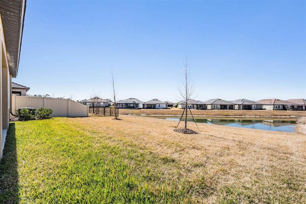 10515 Gable Dig Loop San Antonio, FL 33576 - Photo 29 of 76