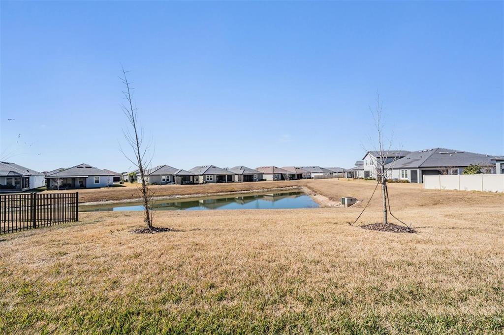 10515 Gable Dig Loop San Antonio, FL 33576 - Photo 30 of 76