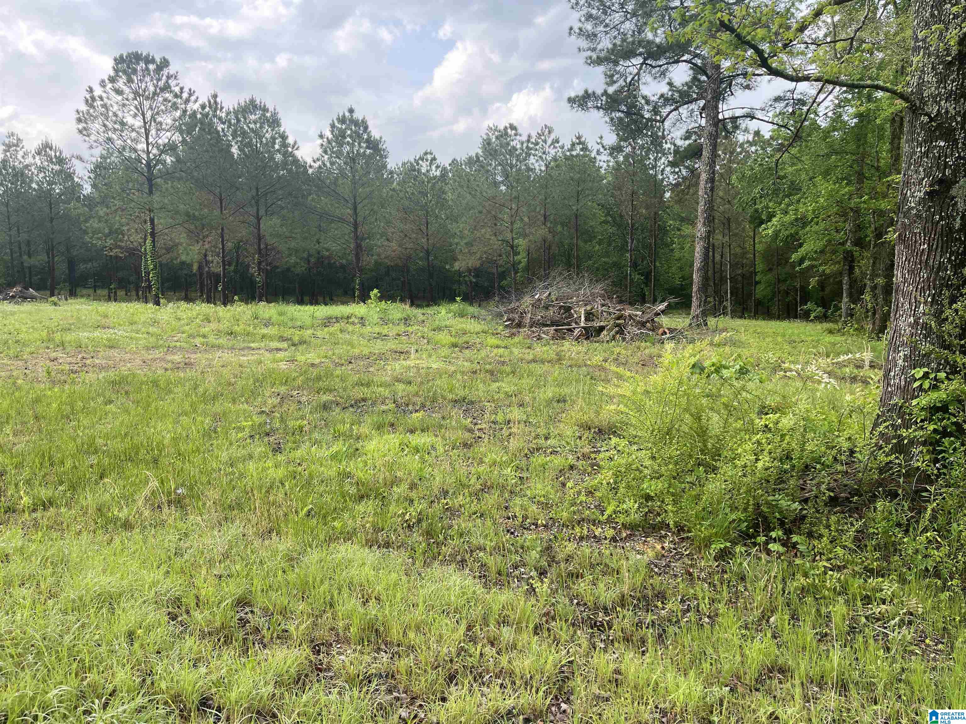 2760 Mitchellville Road, Unit 2 75 Lincoln, AL 35096 - Photo 6 of 11