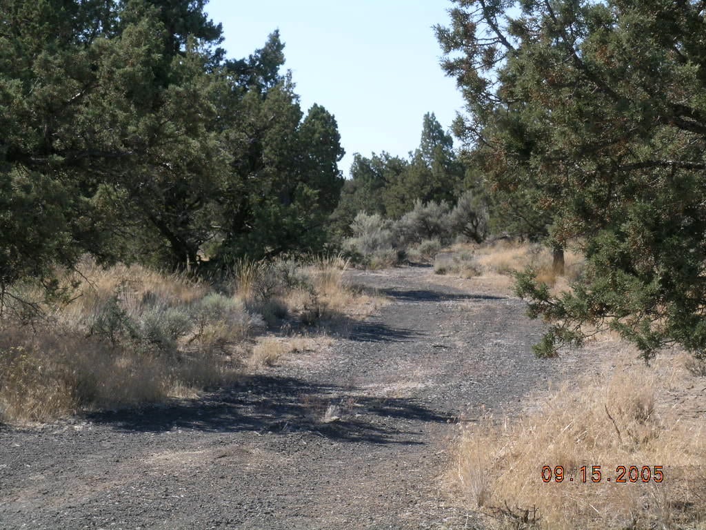 16901 Southwest Mount Adams Loop Powell Butte, OR 97753 - Photo 10 of 10 DSCN0386