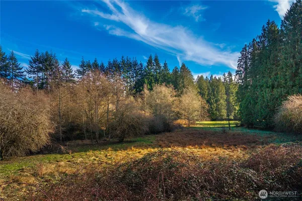 a view of a yard with trees