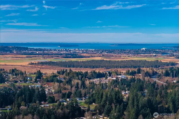 a view of a city with flower plants