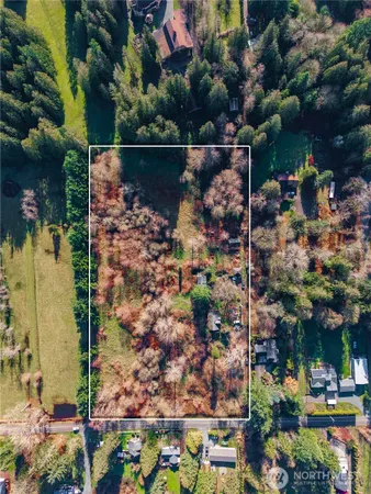 a picture of flowers