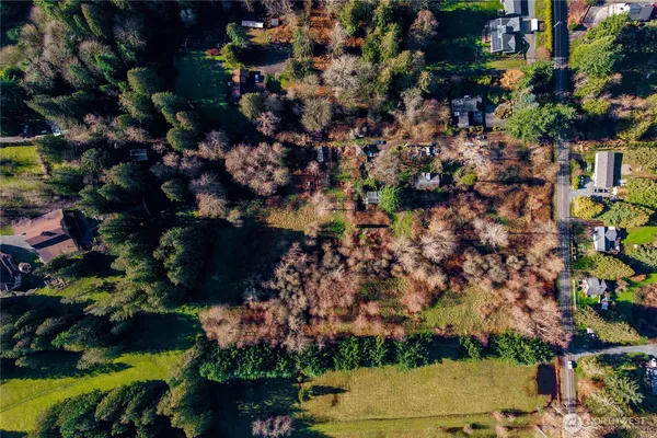 a view of a city with lush green forest