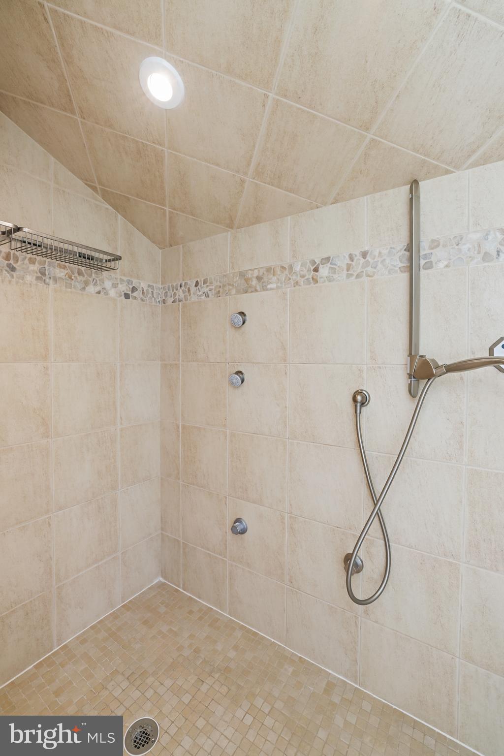 1610 Autumnwood Drive Reston, VA 20194 - Photo 21 of 55 Steam shower with multiple shower heads