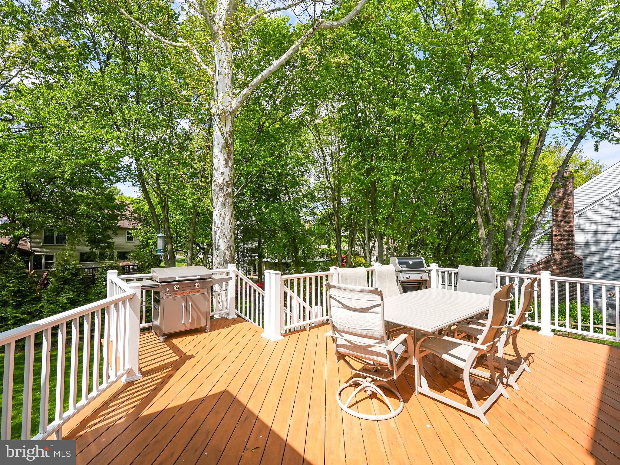 1610 Autumnwood Drive Reston, VA 20194 - Photo 29 of 55 Low-maintenance decking