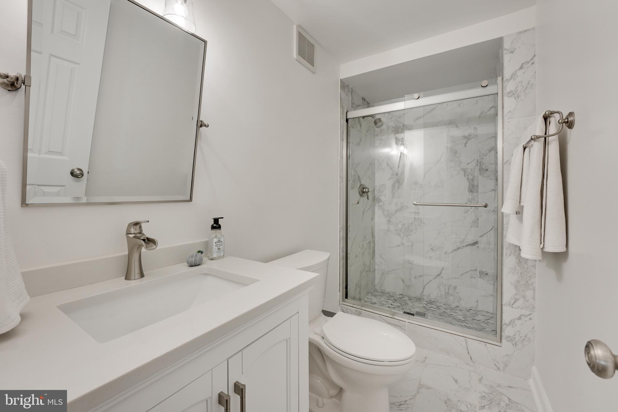 1610 Autumnwood Drive Reston, VA 20194 - Photo 44 of 55 Completely remodeled lower-level full bath