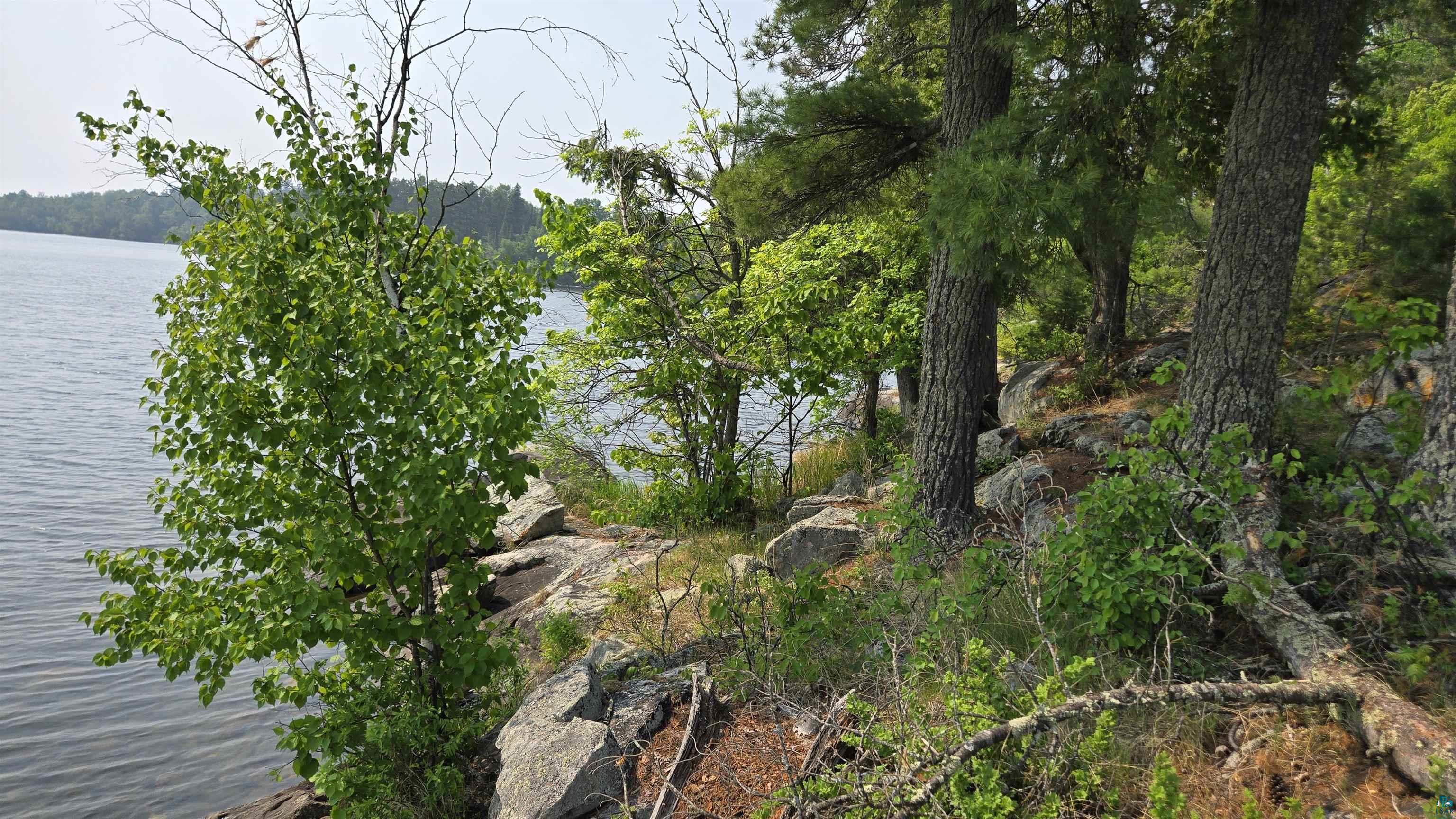 11.82 Bessette Road Orr, MN 55771 - Photo 20 of 44 Water view