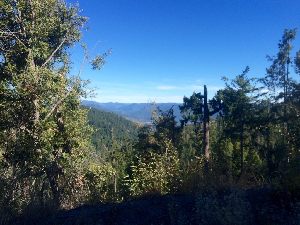 160-acre 160-acre Cedar Camp Road Hyampom, CA 96046 - Photo 2 of 2