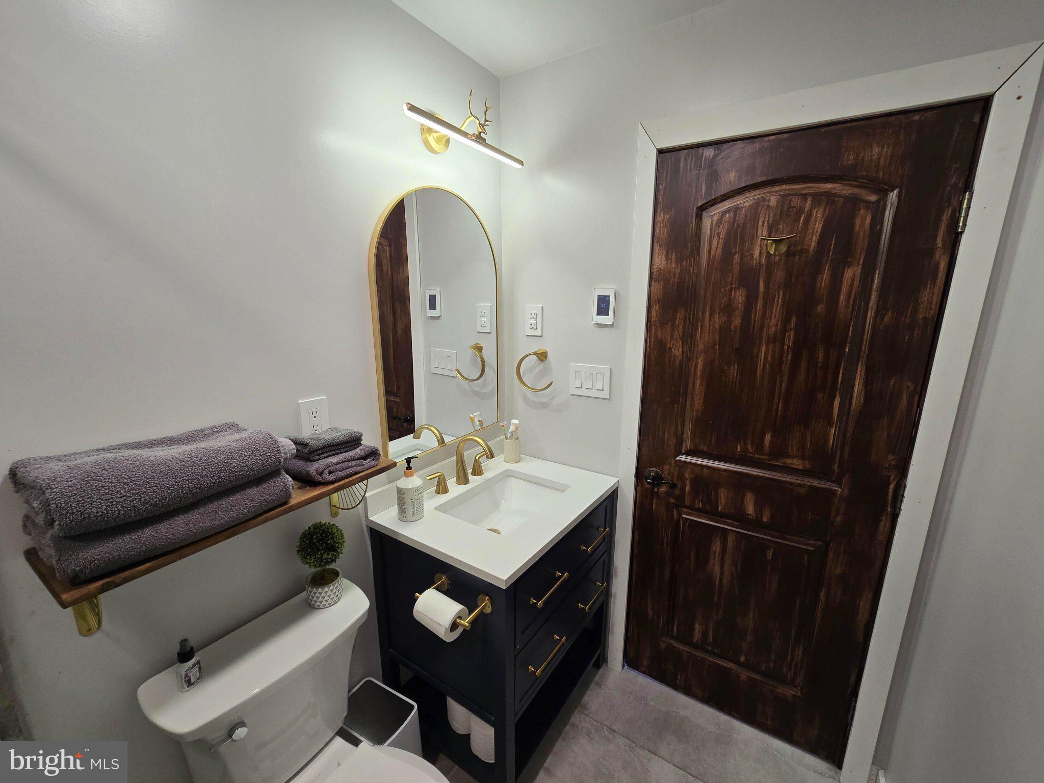 1614 High Top Road Linden, VA 22642 - Photo 13 of 25 Chic bathroom with modern elegance.