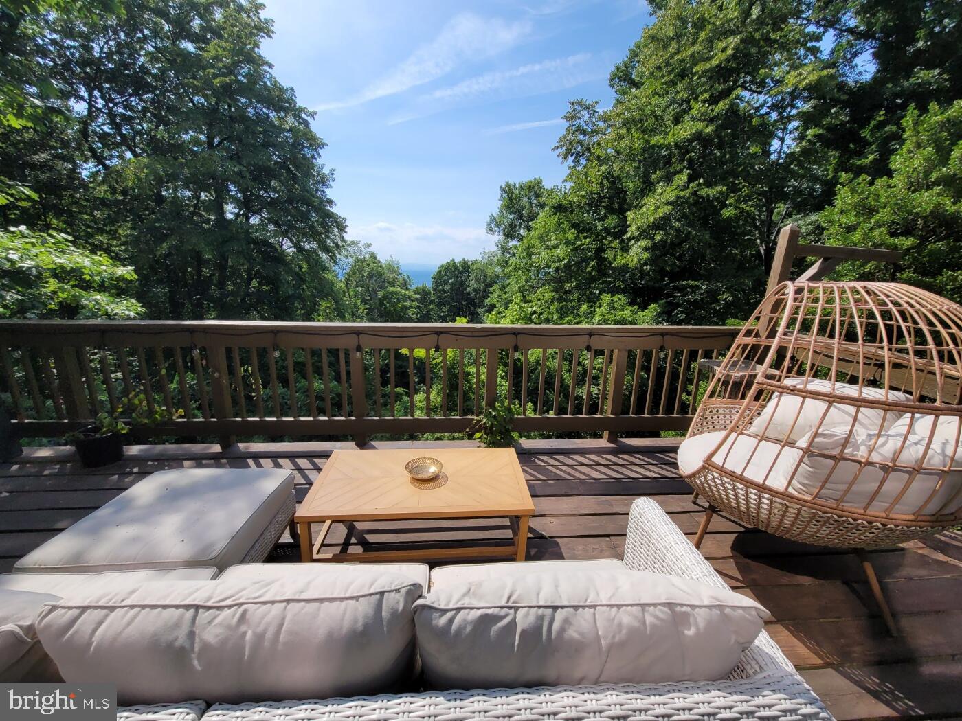 1614 High Top Road Linden, VA 22642 - Photo 2 of 25 Serene deck with lush green views.