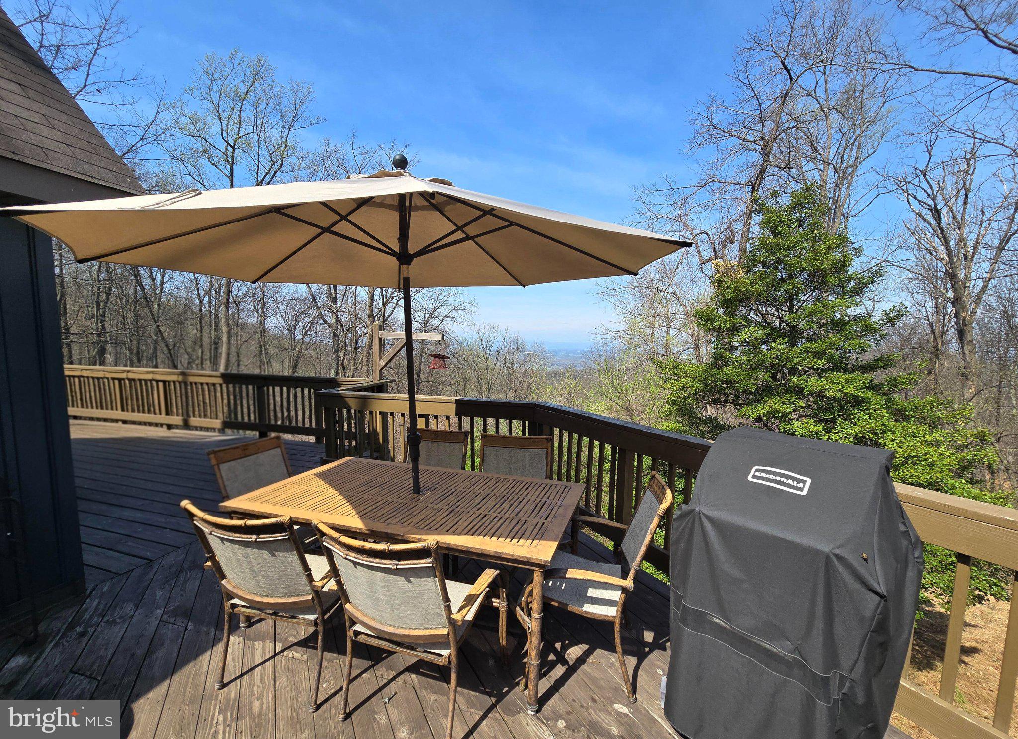 1614 High Top Road Linden, VA 22642 - Photo 21 of 25 Scenic deck with mountain views.