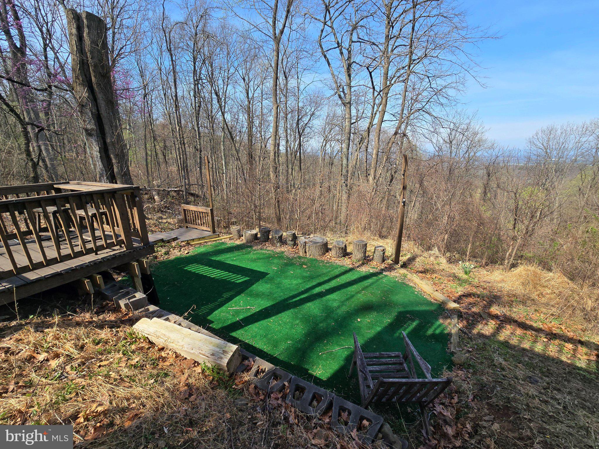 1614 High Top Road Linden, VA 22642 - Photo 23 of 25 Serene woodland retreat with green space.