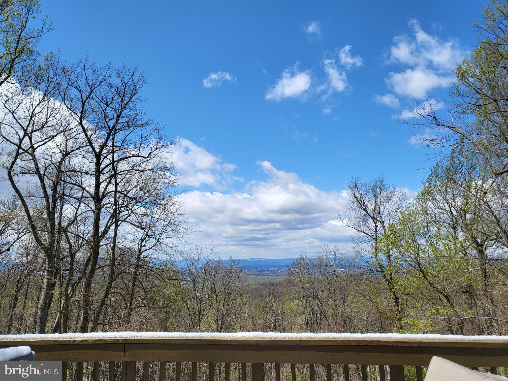 1614 High Top Road Linden, VA 22642 - Photo 24 of 25 Serene mountain vista in spring.