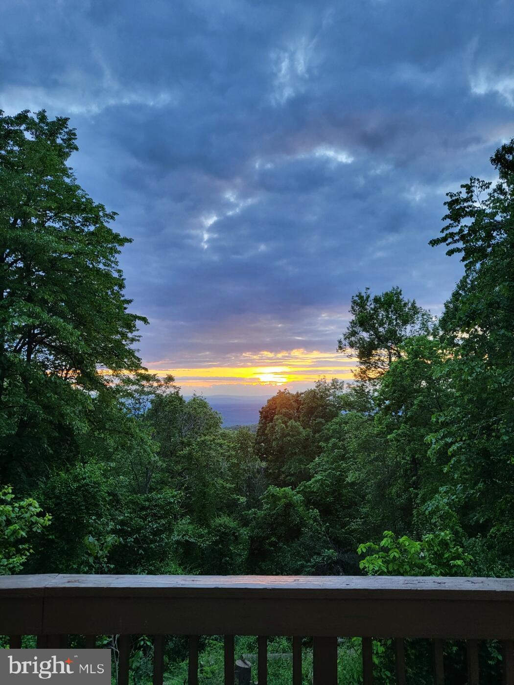 1614 High Top Road Linden, VA 22642 - Photo 25 of 25 Serene sunset over lush greenery.