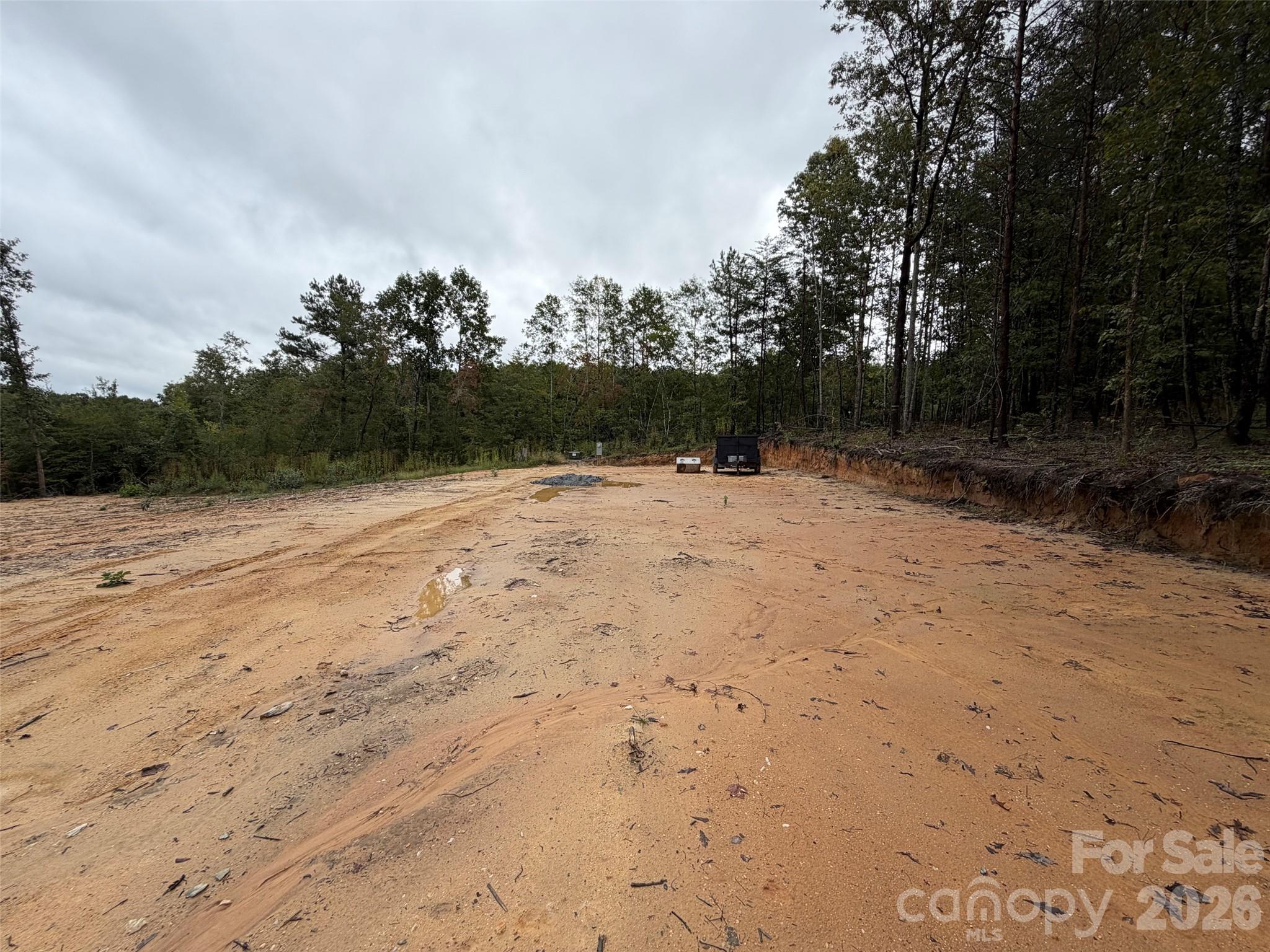 V/l West Thompson Road Rutherfordton, NC 28139 - Photo 11 of 21 Gallery Image 11