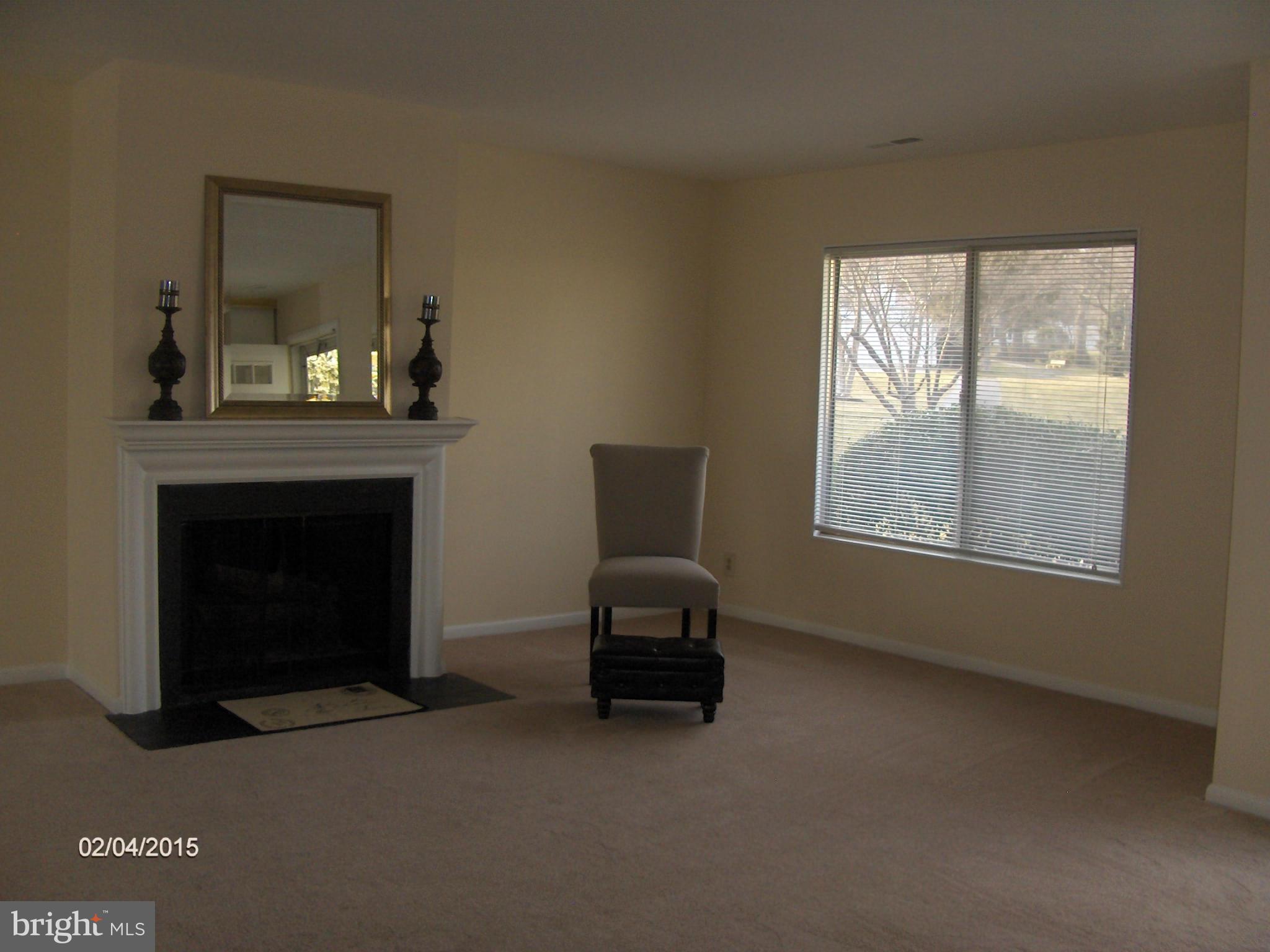 14502 Fiske Drive, Unit 138B Silver Spring, MD 20906 - Photo 2 of 21 a living room with a fireplace and windows