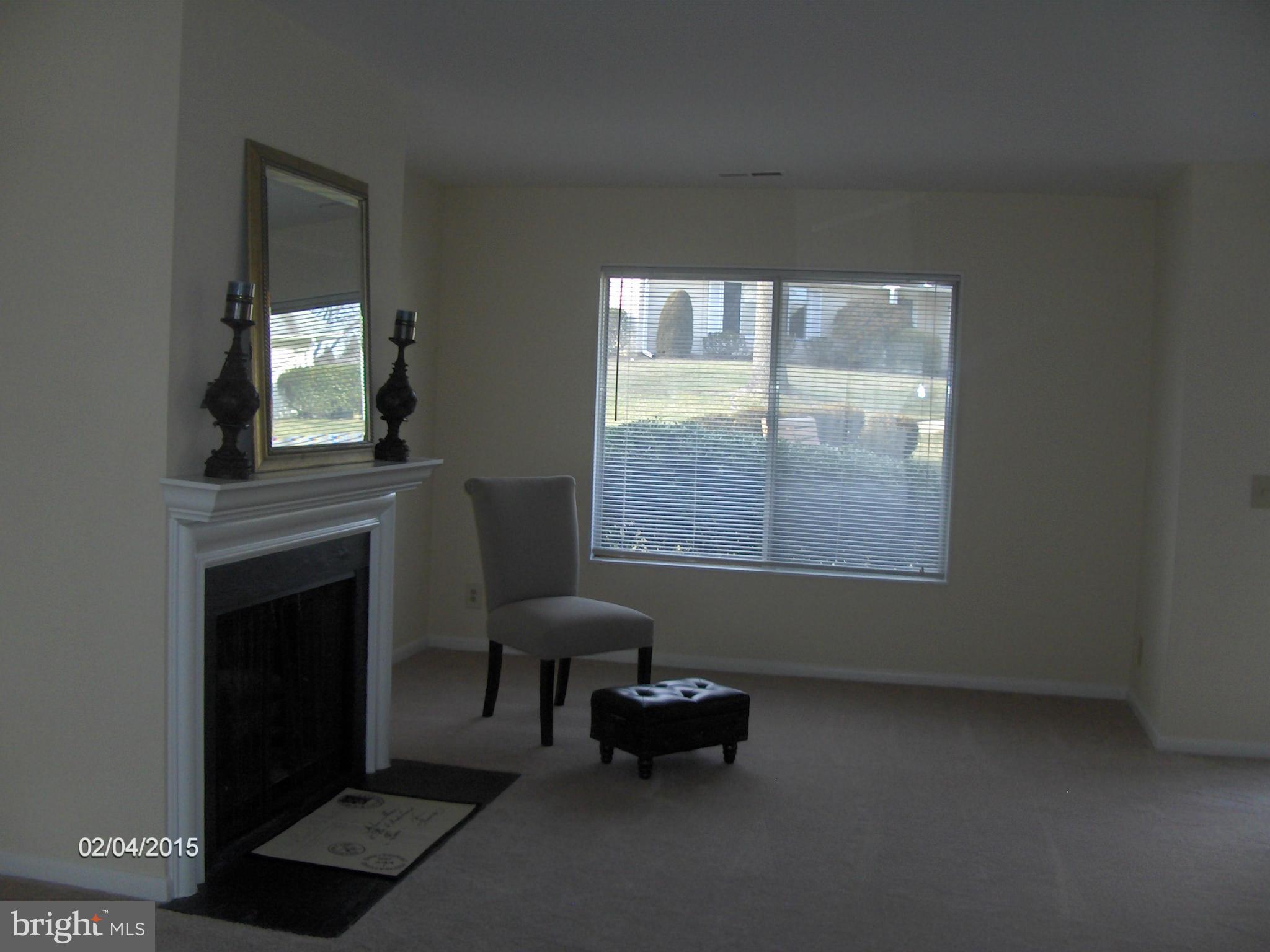 14502 Fiske Drive, Unit 138B Silver Spring, MD 20906 - Photo 3 of 21 a living room with furniture and a fireplace