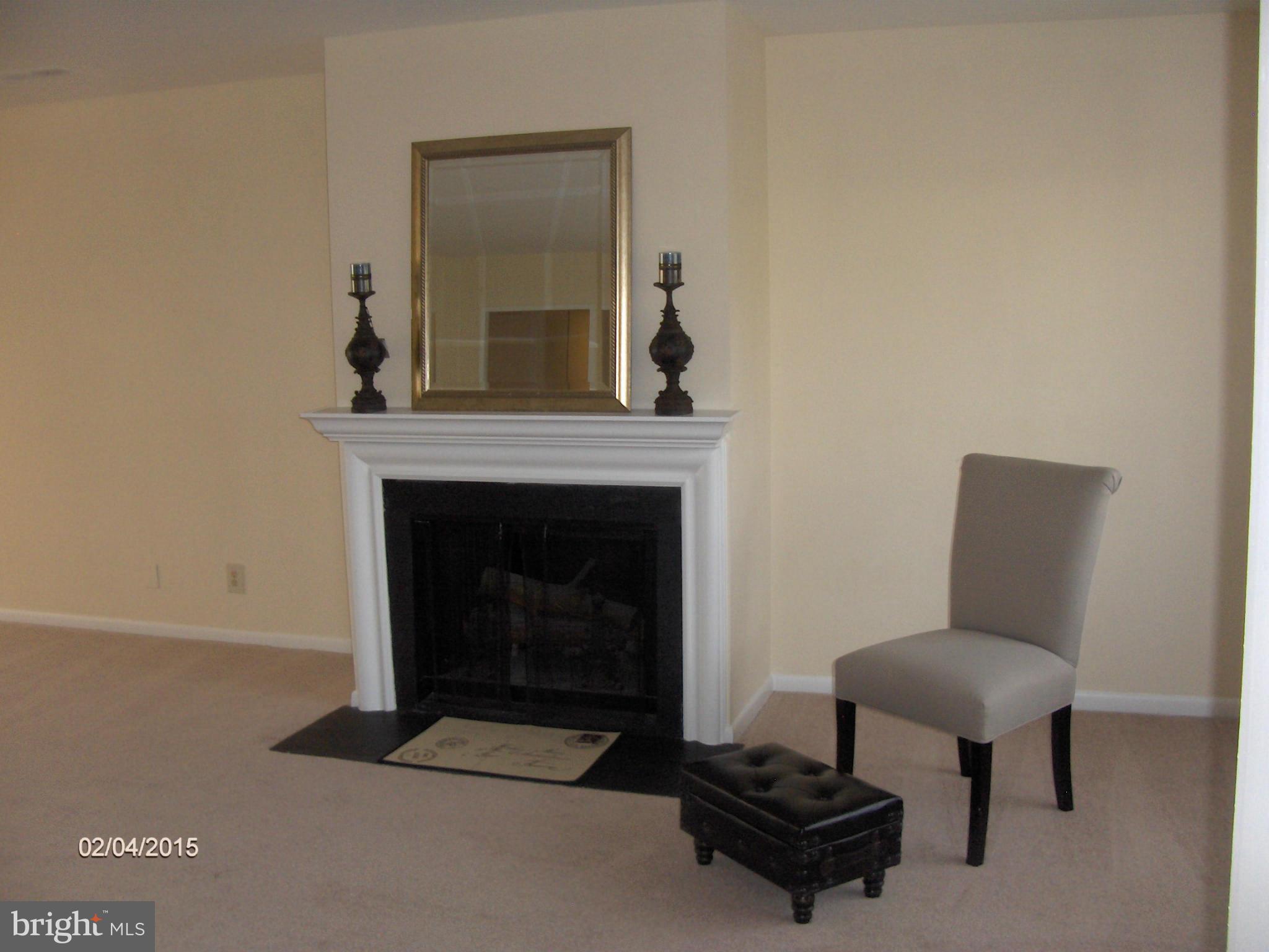 14502 Fiske Drive, Unit 138B Silver Spring, MD 20906 - Photo 4 of 21 a living room with furniture and a fireplace