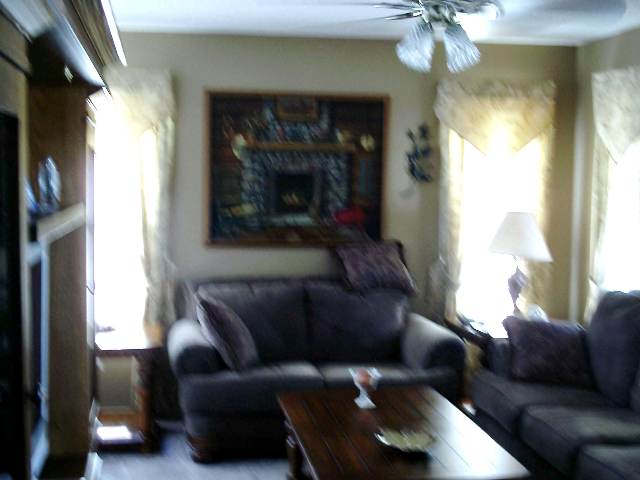 100 Patio Road Easley, SC 29642 - Photo 2 of 6 Gallery Image 2