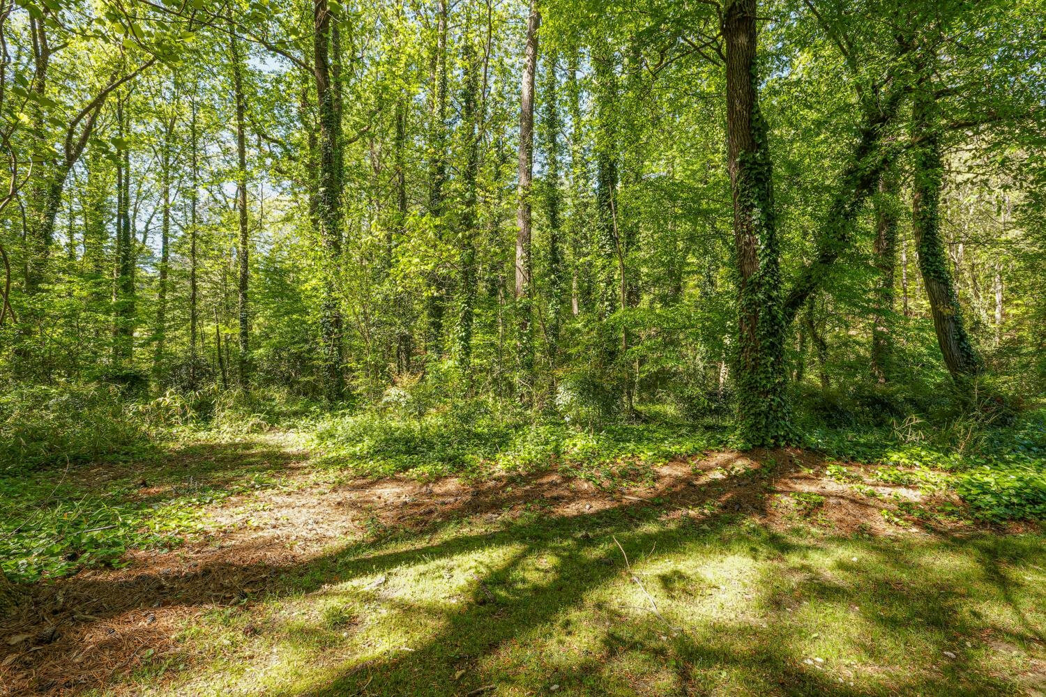 5801 Branchwood Road Raleigh, NC 27609 - Photo 36 of 45 Photo 36