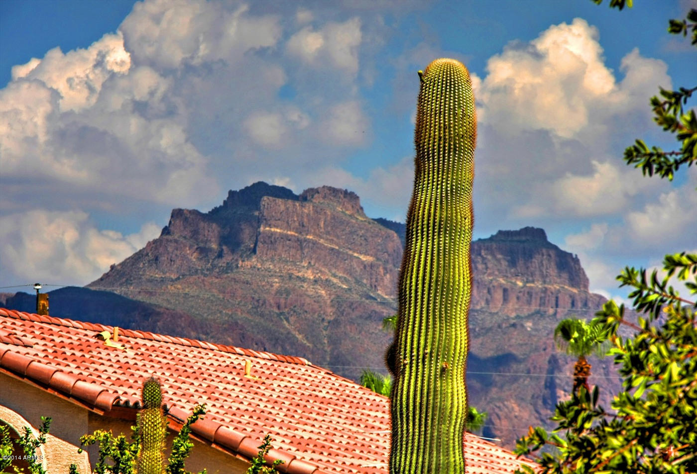 770 South Del Rio Court Apache Junction, AZ 85119 - Photo 23 of 23 Mountain Views 2
