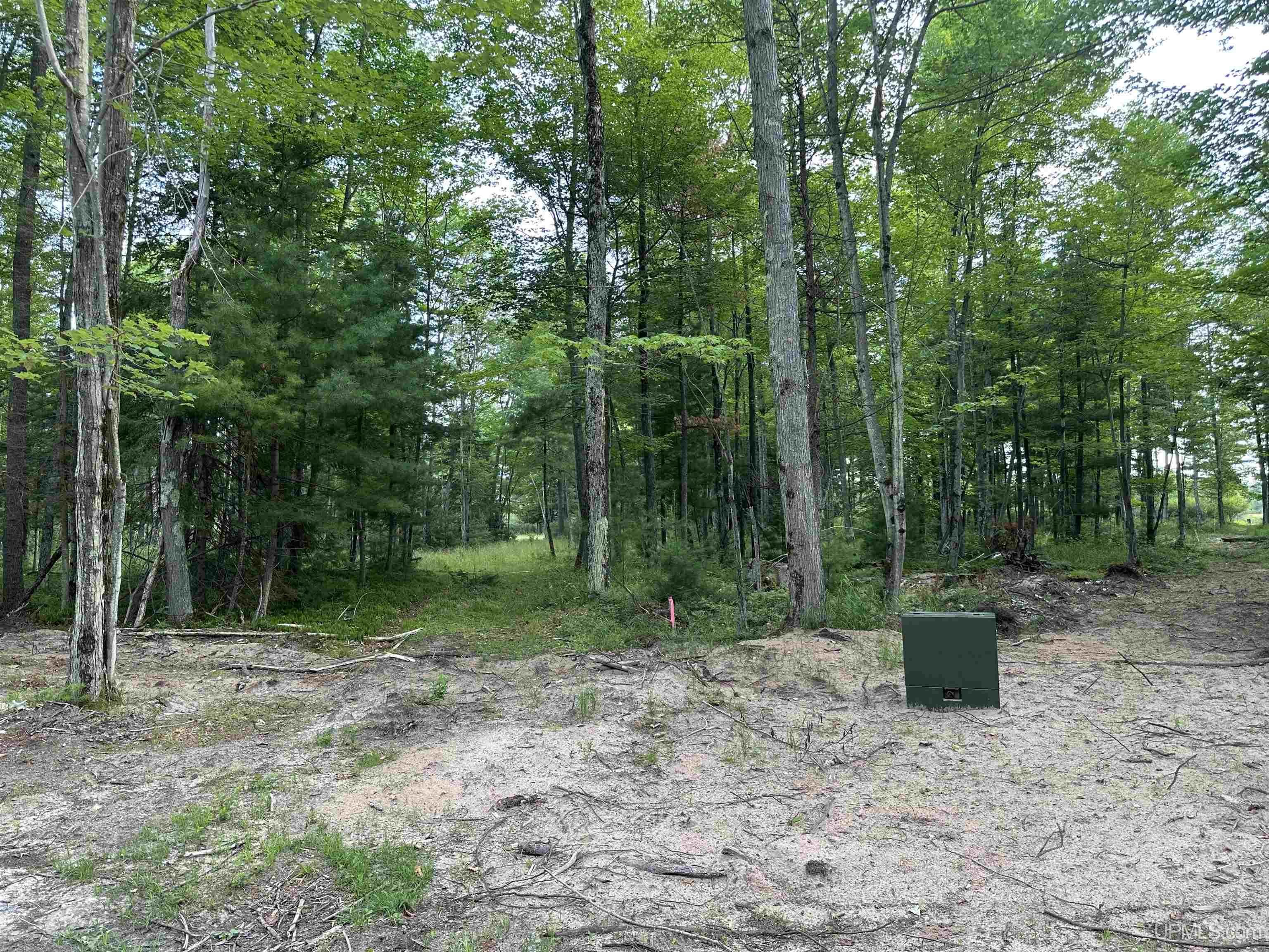 Tbd Tbd Old State South Parcel L Road Escanaba, MI 49829 - Photo 3 of 4