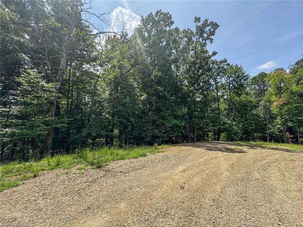 Tbd Spencer Ridge Road McGrady, NC 28649 - Photo 4 of 23 Gallery Image 4