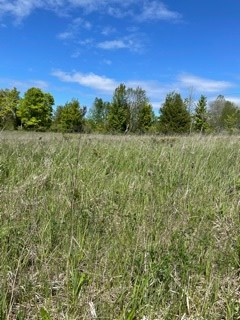 T/b/d Fieldcrest Road Sister Bay, WI 54234 - Photo 13 of 15