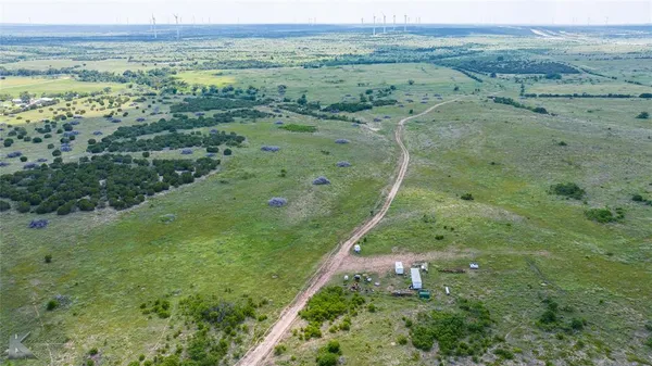 a view of a lush green forest with lots of trees