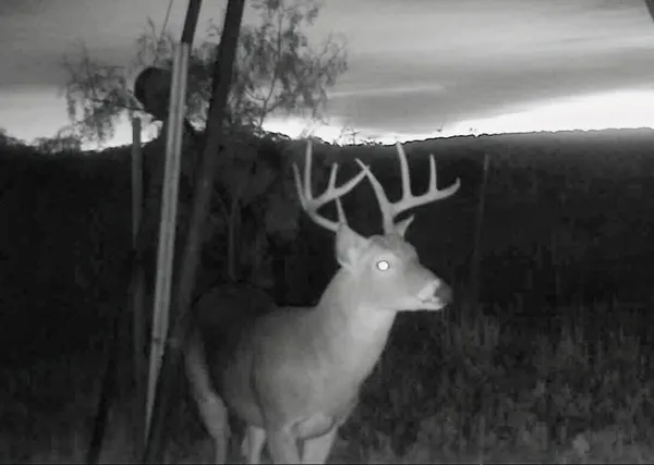 a view of an ocean view