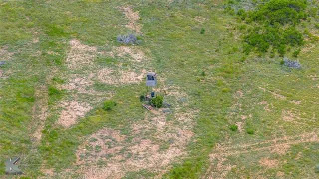 a view of an ocean from a yard