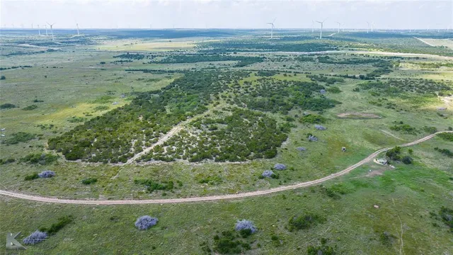a view of a field with an ocean