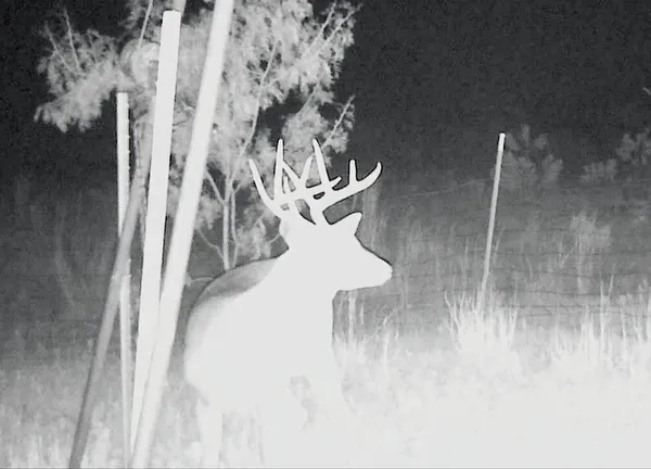 $925,000 | 3402 County Road 196, Blackwell, TX 79506