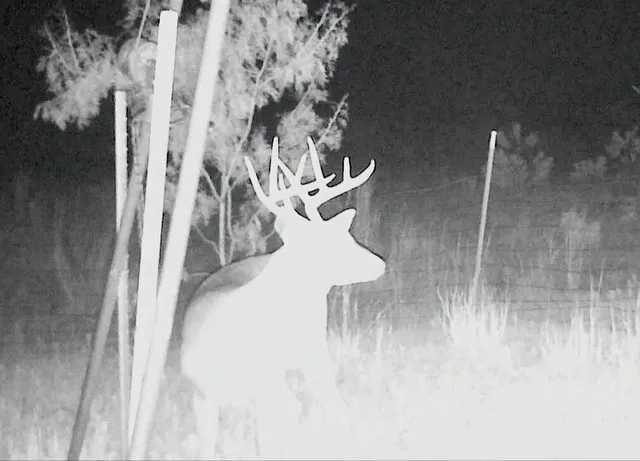 $925,000 | 3402 County Road 196, Blackwell, TX 79506