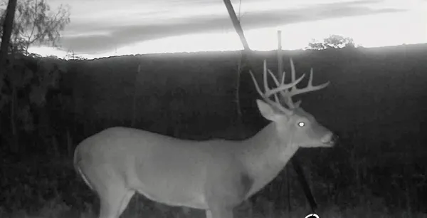 $925,000 | 3402 County Road 196, Blackwell, TX 79506