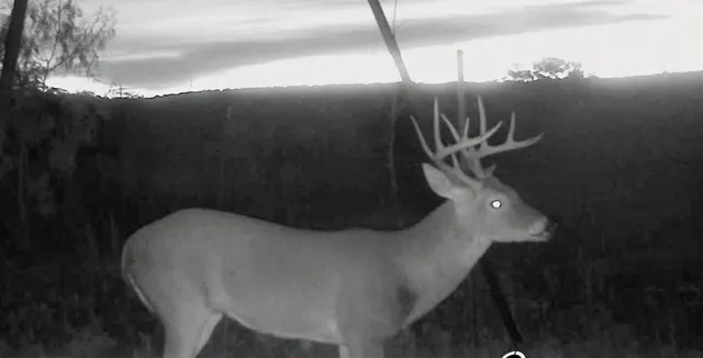 $925,000 | 3402 County Road 196, Blackwell, TX 79506