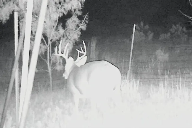 a view of an ocean view and mountain view