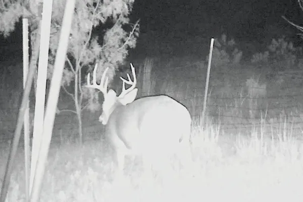 a view of an ocean view and mountain view