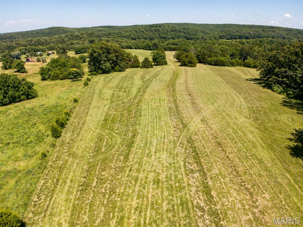 68 Dillard Mill Road Davisville, MO 65456 - Photo 59 of 64